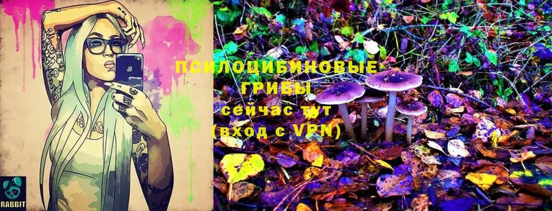 Галлюциногенные грибы MAGIC MUSHROOMS Омск